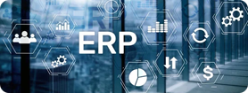 Fine ERP